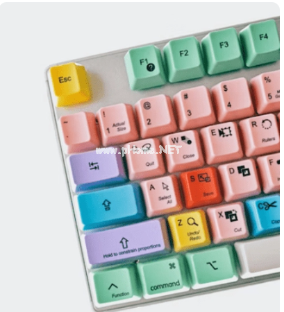 详解误删除的照片如何恢复