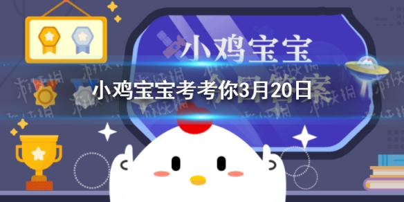 小鸡宝宝考考你“椿萱并茂”是指椿树和萱草都茂盛,比喻