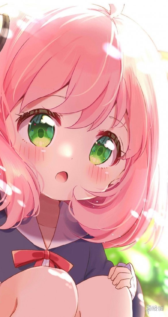 阿尼亚高清壁纸分享 阿尼亚可爱超清壁纸在哪