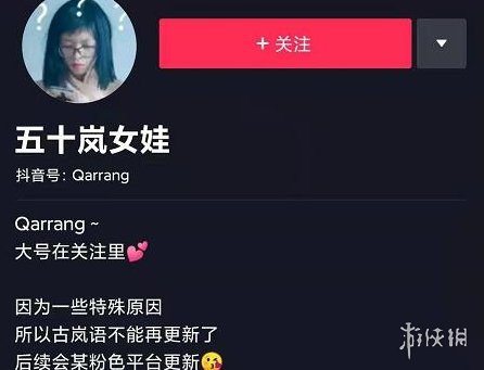岚语是什么语言 岚语是什么意思