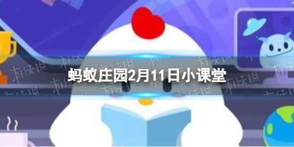 小鸡宝宝考考你人们平时吃的洋葱是植物的哪部分