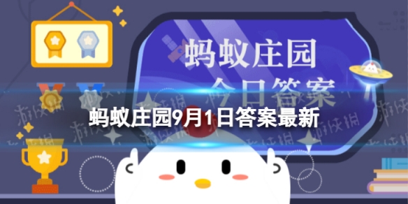 为什么面包里通常会有许多小孔 蚂蚁庄园9月1日答案最新