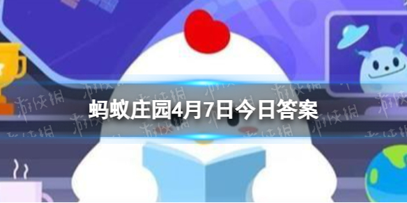 雪饼上面那一层白色的是什么 雪饼上白色的雪