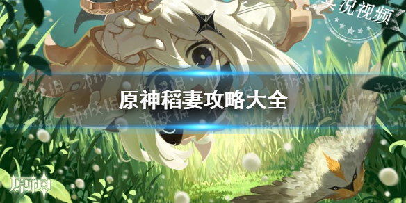《原神手游》稻妻攻略大全 稻妻攻略汇总