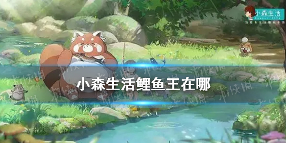 《小森生活》鲤鱼王在哪 鲤鱼王垂钓位置介绍