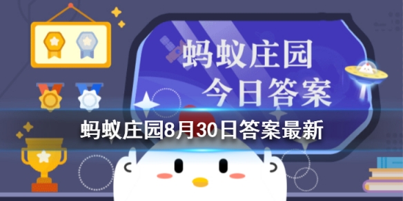 天不亮锻炼身体好吗 小鸡庄园答案8月30日