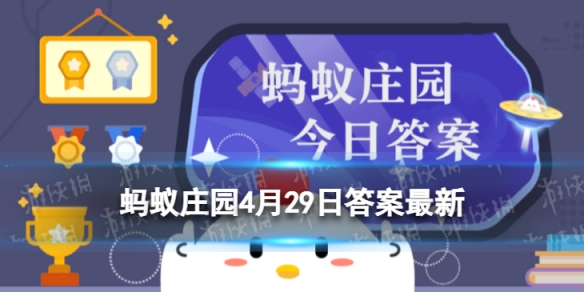 小熊猫是大熊猫的宝宝吗 蚂蚁庄园小熊猫4.29答案最新