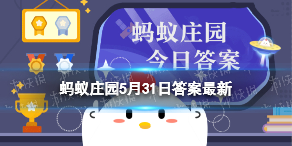 小鸡宝宝考考你我国哪个旅游城市被称为椰城