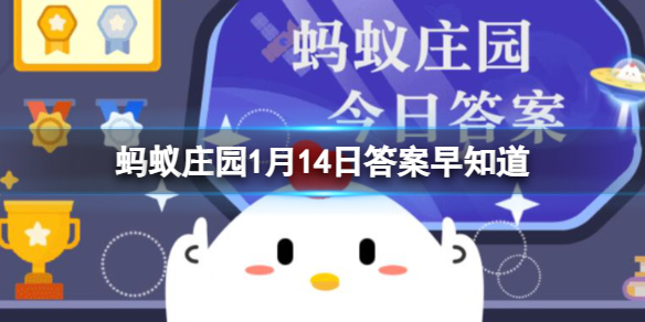 小年“扫尘”也叫“扫陈”,指的是扫除 蚂蚁庄园1月14日答案早知道