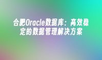 合肥Oracle数据库：高效稳定的数据管理解决方案
