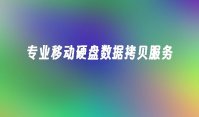 专业移动硬盘数据拷贝服务