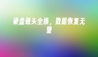 硬盘磁头全损，数据恢复无望