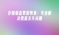 存储磁盘数据恢复：专业解决数据丢失问题