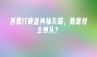 西数1T硬盘神秘失踪，数据何去何从？