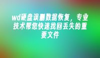 wd硬盘误删数据恢复，专业技术帮您快速找回丢失的重要文件