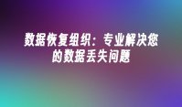 数据恢复组织：专业解决您的数据丢失问题