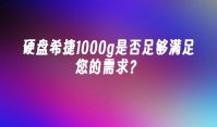 硬盘希捷1000g是否足够满足您的需求？