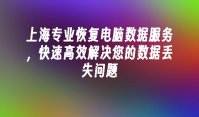 上海专业恢复电脑数据服务，快速高效解决您的数据丢失问题