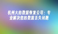 杭州大的数据恢复公司：专业解决您的数据丢失问题