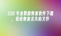 SSD 专业数据恢复软件下载，轻松恢复丢失的文件