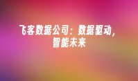 飞客数据公司：数据驱动，智能未来