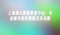 上海最大数据恢复中心：专业解决您的数据丢失问题