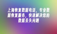 上海恢复数据电话，专业数据恢复服务，快速解决您的数据丢失问题