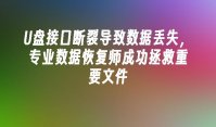 U盘接口断裂导致数据丢失，专业数据恢复师成功拯救重要文件