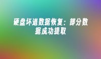 硬盘坏道数据恢复：部分数据成功提取