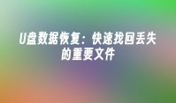 U盘数据恢复：快速找回丢失的重要文件