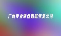 广州专业硬盘数据恢复公司