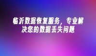 临沂数据恢复服务，专业解决您的数据丢失问题