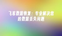 飞客数据恢复：专业解决您的数据丢失问题