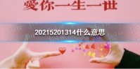 20215201314什么意思 20215201314代表什么意思