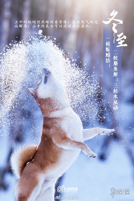 2020年冬至快乐图片有哪些 2020年冬至快乐图片大全