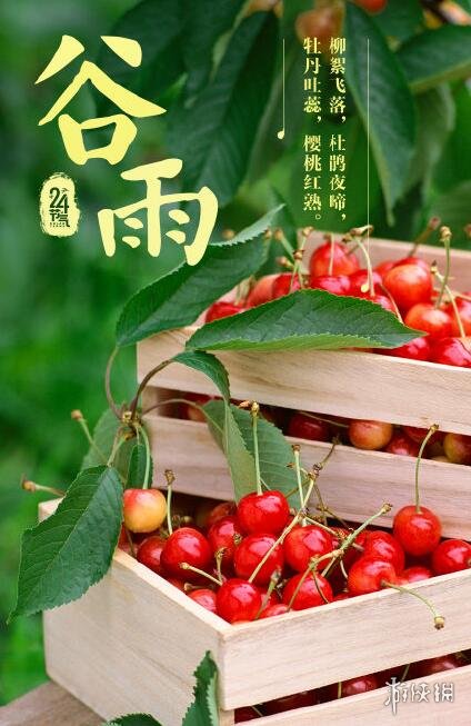 谷雨图片有哪些 谷雨图片大全