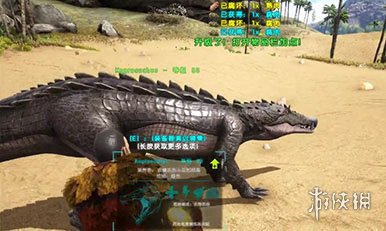 《方舟生存进化》手游猪鳄如何驯服 猪鳄驯服方法
