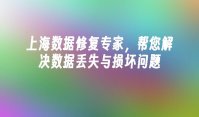 上海数据修复专家，帮您解决数据丢失与损坏问题
