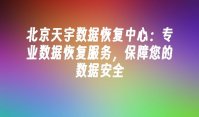 北京天宇数据恢复中心：专业数据恢复服务，保障您的数据安全