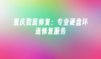 重庆数据修复：专业硬盘坏道修复服务