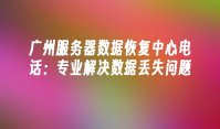 广州服务器数据恢复中心电话：专业解决数据丢失问题