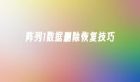 阵列1数据删除恢复技巧