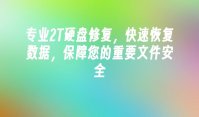 专业2T硬盘修复，快速恢复数据，保障您的重要文件安全