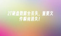 2T硬盘数据全丢失，重要文件瞬间消失！
