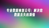专业数据修复公司：解决您数据丢失的烦恼