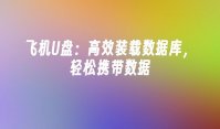 飞机U盘：高效装载数据库，轻松携带数据