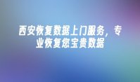 西安恢复数据上门服务，专业恢复您宝贵数据