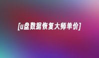 [u盘数据恢复大师单价]