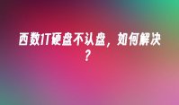 西数1T硬盘不认盘，如何解决？