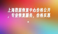 上海数据恢复中心价格公开，专业恢复服务，价格实惠。
